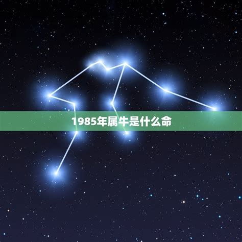 1985年是什么星座|1985年11月份是什么星座 1985年11月份是啥星座